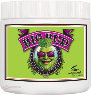 ADVANCED NUTRIENTS BIG BUD PROSZEK 130GR